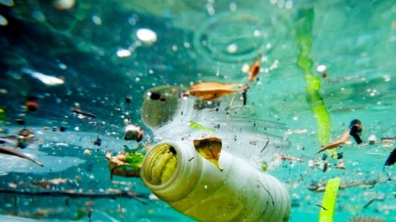 Da Pisa un robot che raccoglie le microplastiche negli oceani