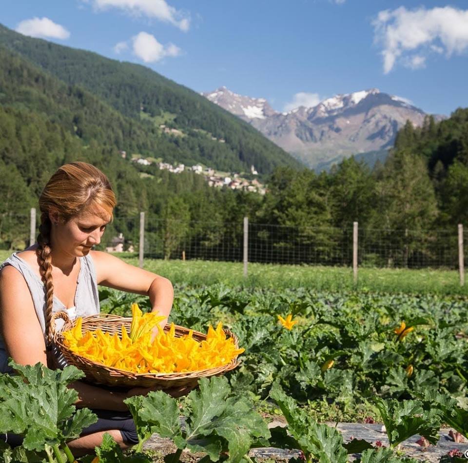 Il primo supermercato plastic free d’Italia apre in Val di Sole