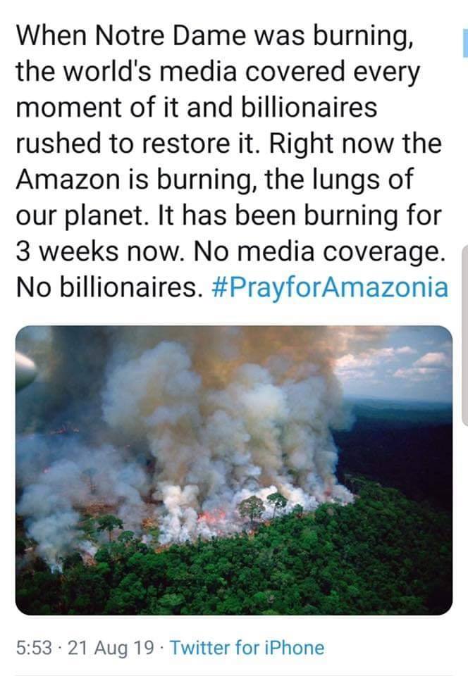 amazzonia-incendi