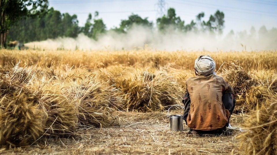 Giornata mondiale del cibo. 10 anni dopo la riforma della FAO