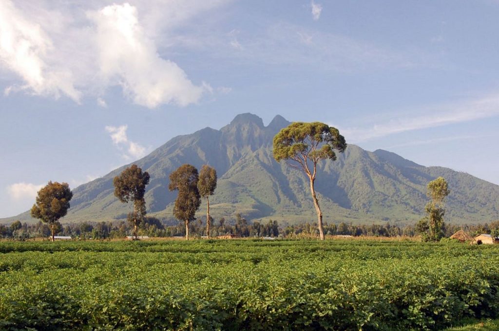 virunga
