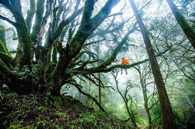 Fase 2: nella ripartenza ricordiamoci dell'ambiente