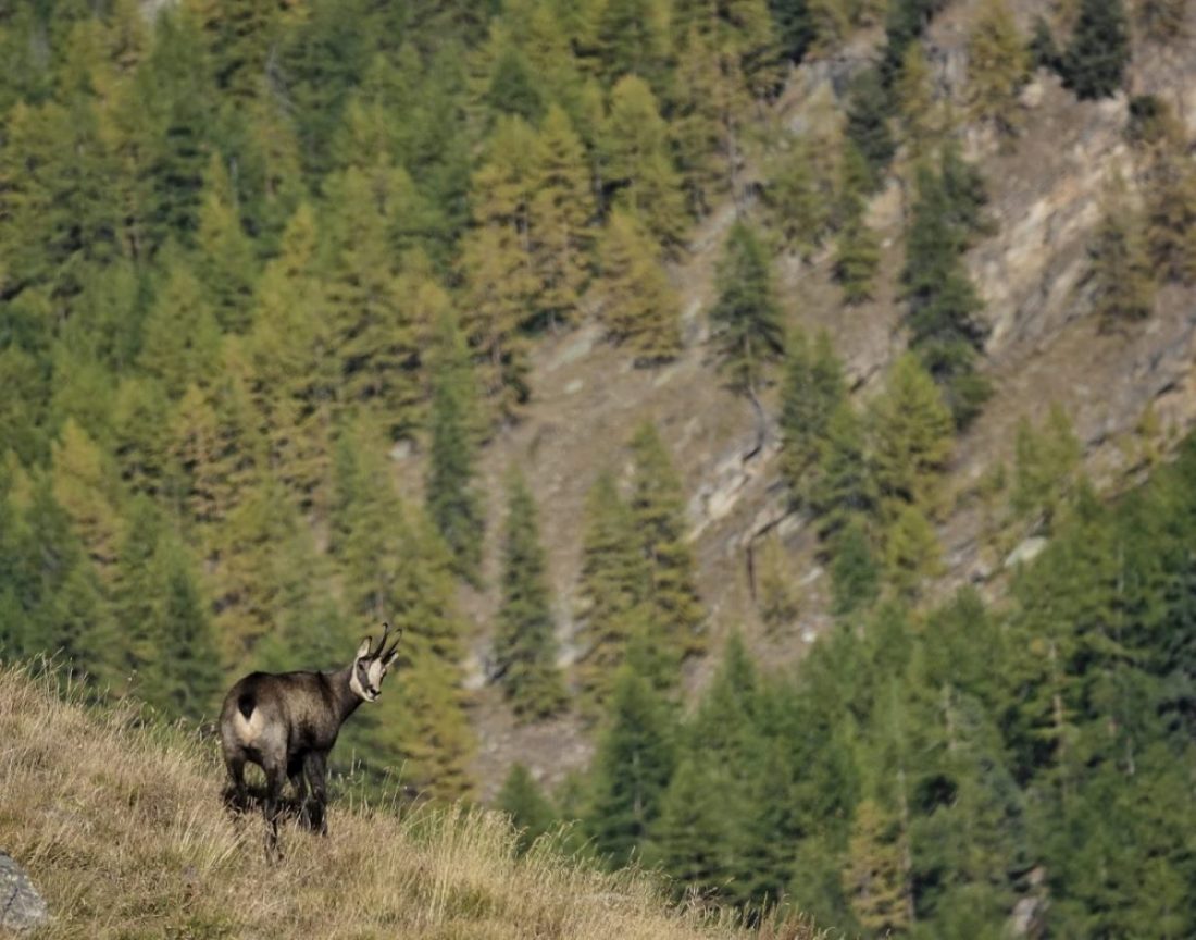 giornata mondiale dell'ambiente