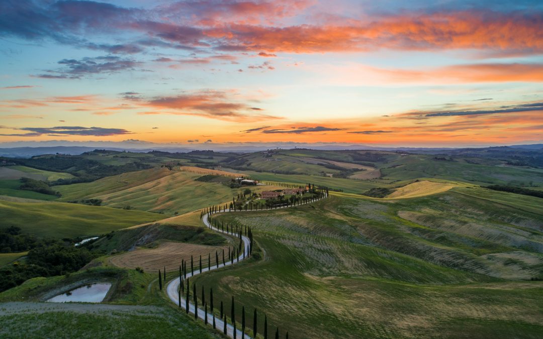 Transizione green: cosa prevede il Piano Colao?