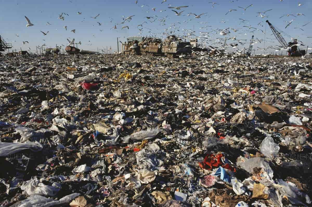 Discarica_Fresh_Kills_Landfill