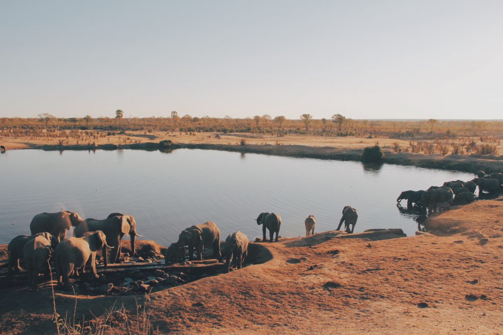 africa oleodotto