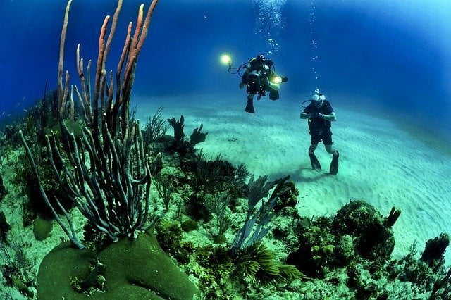 Barriere coralline, la frontiera del 3D le salverà?
