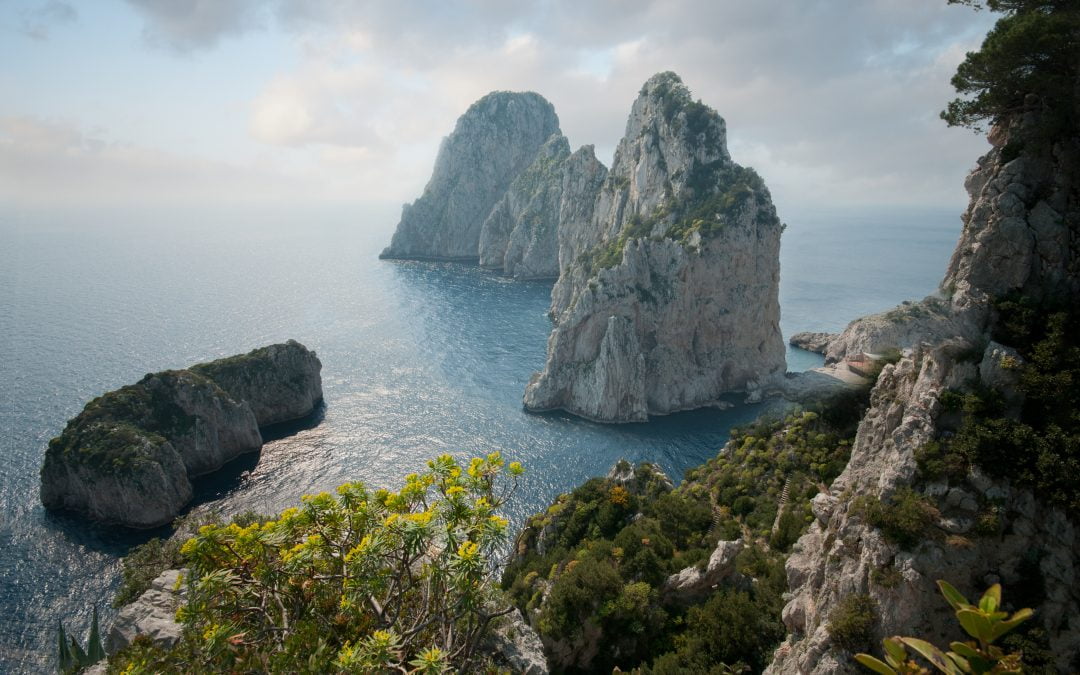 Capri-Revolution, un film che aiuta a capire l’ambientalismo