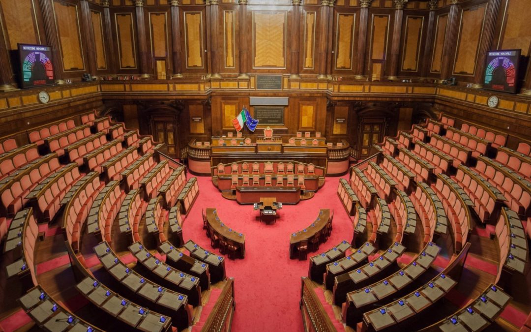 Finalmente in Italia si parla di tutela dell’ambiente e degli animali tra i principi fondamentali della Costituzione
