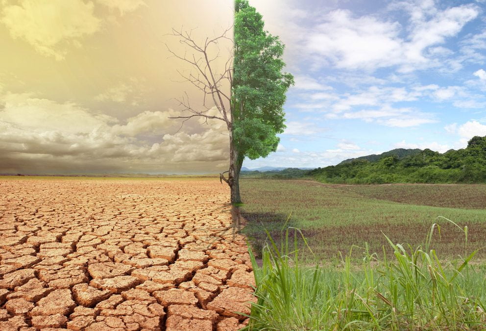 La diga di Sciaguana in Sicilia si è prosciugata e nessuno sa il perché