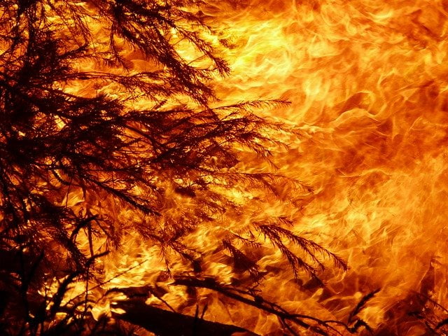 Perché la crisi climatica e l’attività dell’uomo c’entrano con gli incendi che stanno colpendo la Sardegna